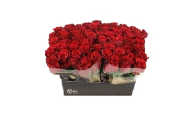 Best price for today!