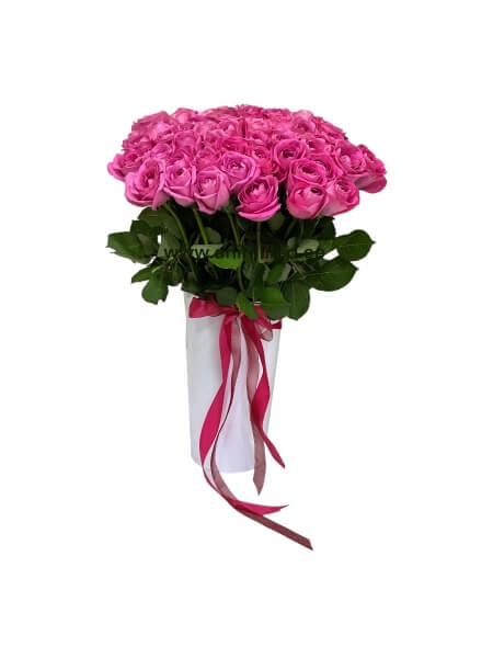 Kimp 51 roosad roosid 51=30.-€