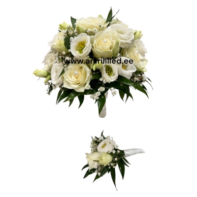 Pruudikimp “PK-231”