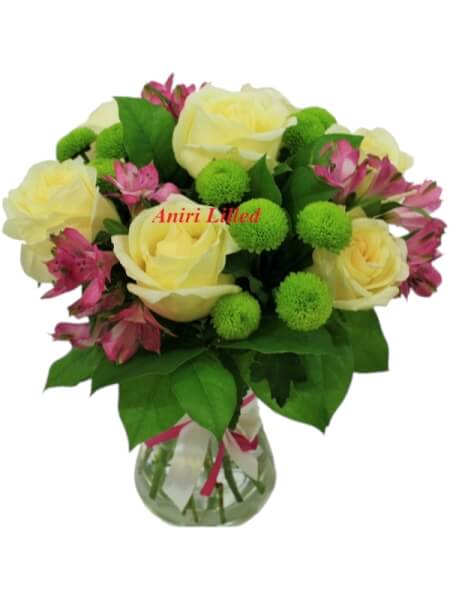 Lillekimp "Avalanch" K-21