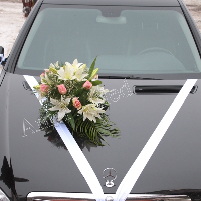 Autokaunistus "AK-7"