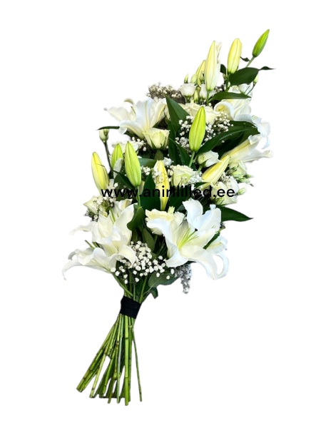 Qizlar serialidan yalangoch suratlar