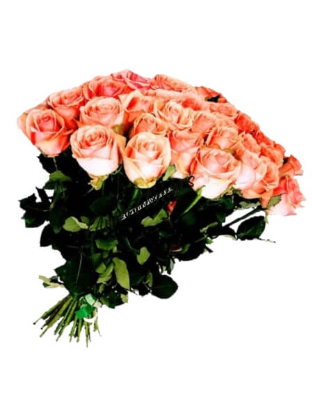 Lillekimp "Donnatella"