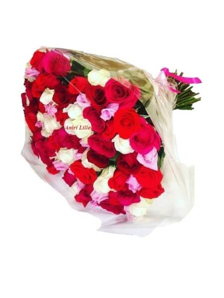 Lillekimp "Holland" K-11