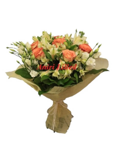 Lillekimp "Inka" K-42