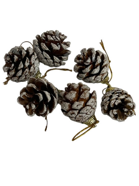 Kuuseehe “Käbi”