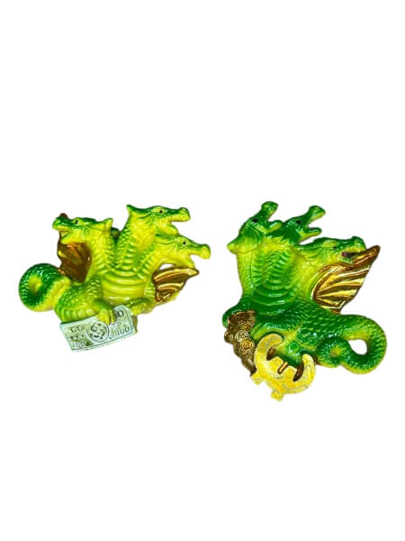 Magnet “Draakon”