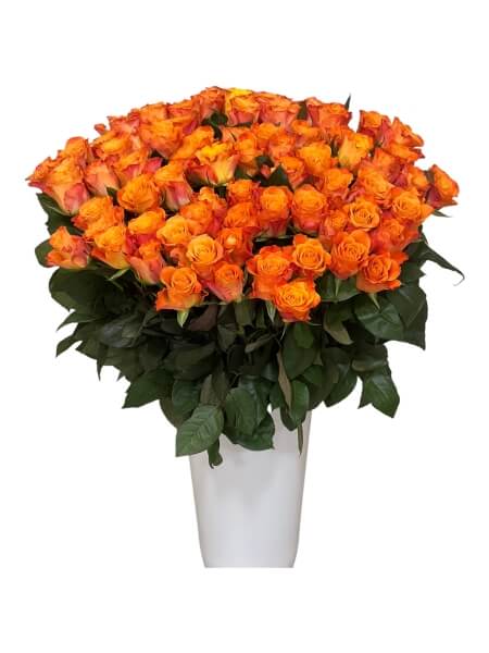 Roos Mariyo “R-6”