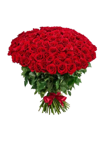 Punased ecuadori roosikimp