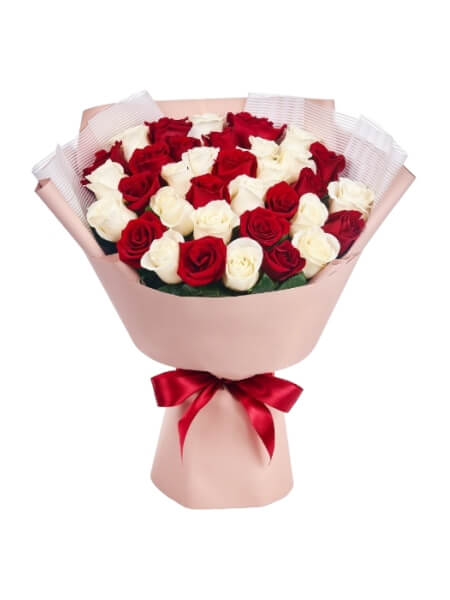 Valge punased ecuadori roosikimp