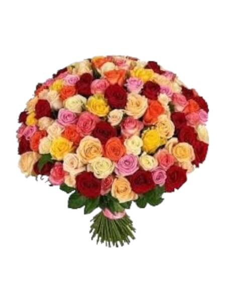 Värvilised ecuadori roosikimp