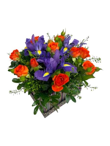 Lillesaede “Summer”