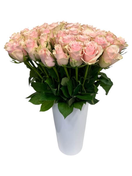 Roos “Pink Athena” R-10