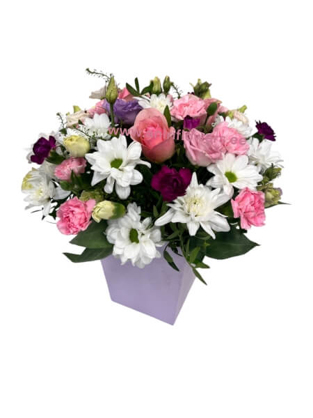 Lilleseade LS “2409”