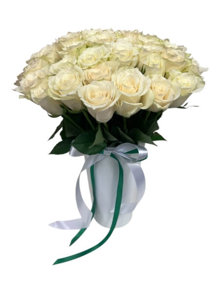 Roosikimp  Valge 51 tk