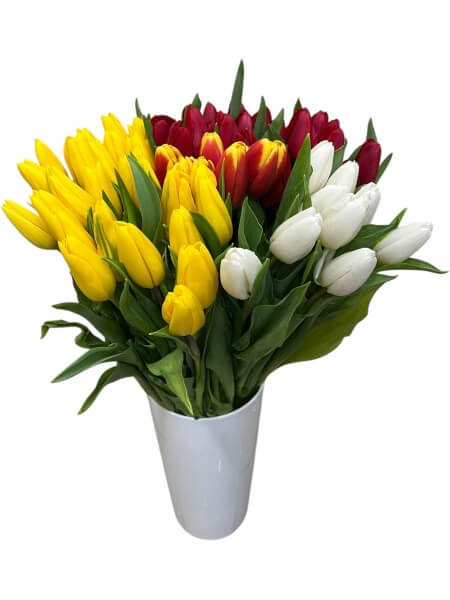 Tulp mix