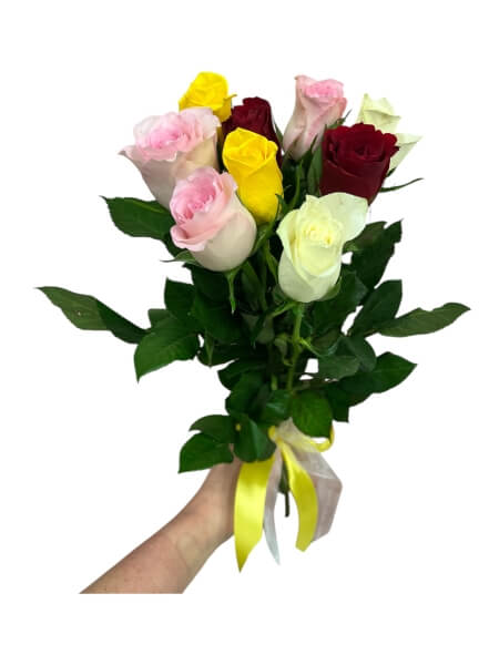 Roosikimp mix 9 tk 40 cm