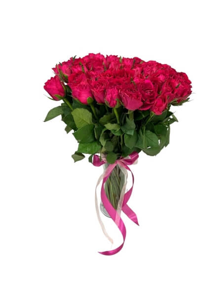 Roosikimp Cerise 101 tk