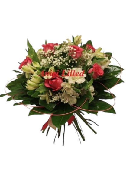 Lillekimp "Orhestra" K-41