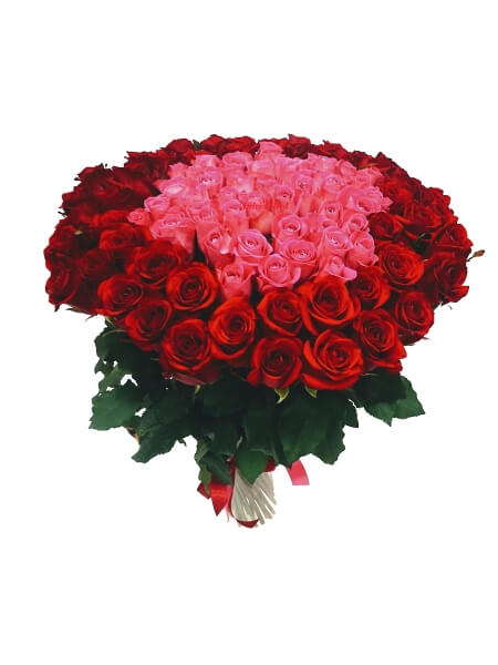 Lillekimp "Red Eagle"