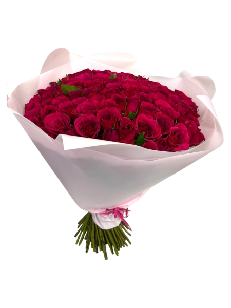 Roosikimp Cerise 51/101