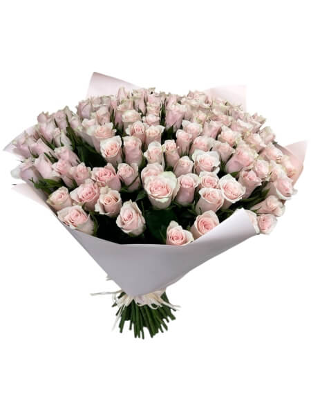 Roosikimp Pink Athena 51/101