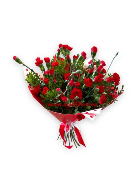 Lillekimp kobarnelkidest “K-221019”