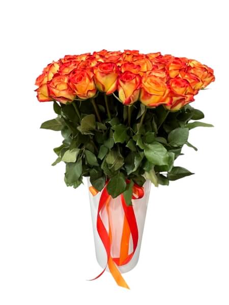 Roosikimp Firefox 25/51/101