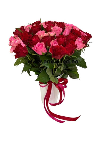 Roosikimp mix 51=30.-€