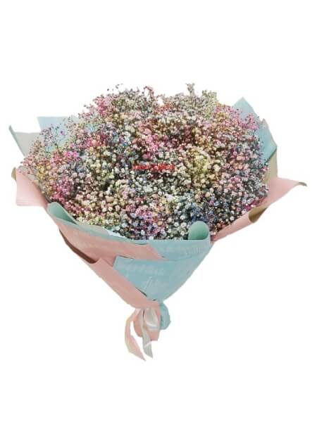 Lillekimp"Rainbow" K-12