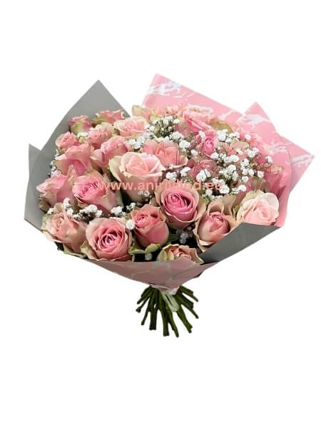 Kimp “ Pink athena” K-14