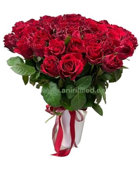 Kimp 101 punast  roosi